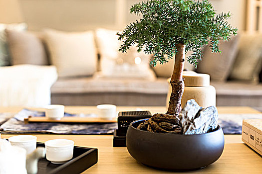 盆栽,木桌,现代生活,房间