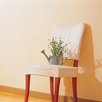 盆栽,椅子