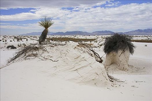 沙丘,沙漠,白沙,国家纪念建筑,新墨西哥,美国