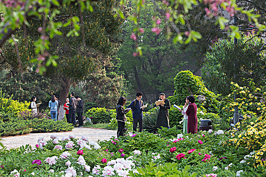 北京大学