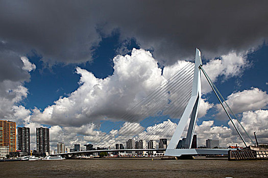 荷兰,鹿特丹,桥,河