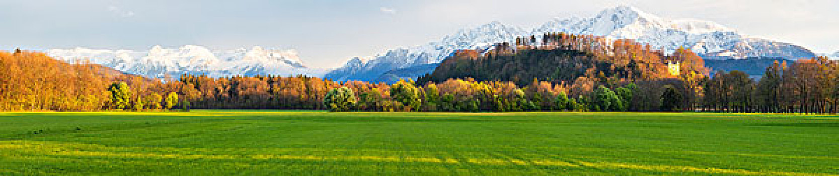 绿色,草地,正面,积雪,贝希特斯加登阿尔卑斯山,萨尔茨堡,奥地利