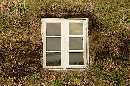 冰岛,草皮,房子,白色,窗户,围绕,草