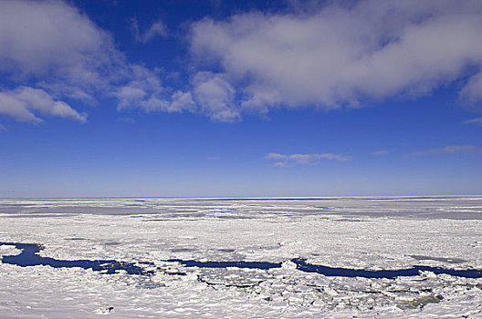 冰,漂浮,河,劳伦斯河,魁北克,加拿大