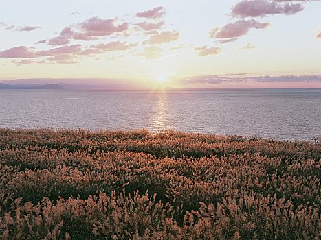 落日,日本海