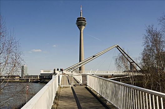 莱茵河,塔,步行桥,媒体,港口,北莱茵威斯特伐利亚,德国