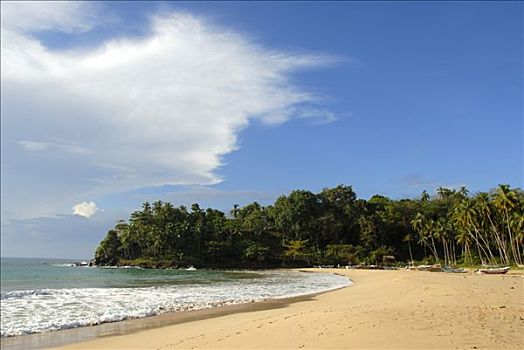 梦幻爱情海滩,湾,沙滩,靠近,印度洋,斯里兰卡,南亚,亚洲