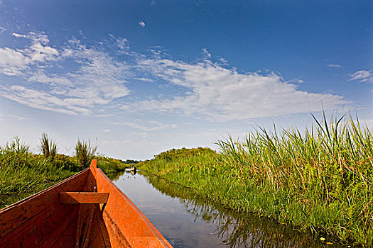 湿地,靠近,著名,鲸头鹳,人口,独木舟,乌干达