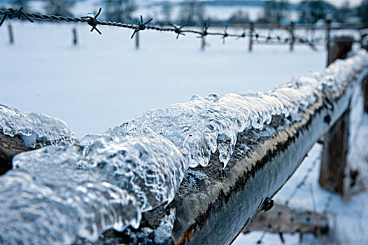 冰,木篱,刺铁丝网