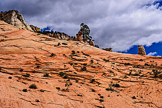 美国,犹他,华盛顿,锡安国家公园,局部,城镇,风景,锡安山,攀升,卡梅尔公路