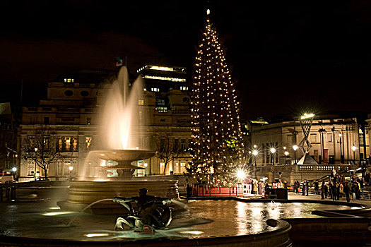 圣诞树,柱子,特拉法尔加,伦敦,英格兰,英国,欧洲