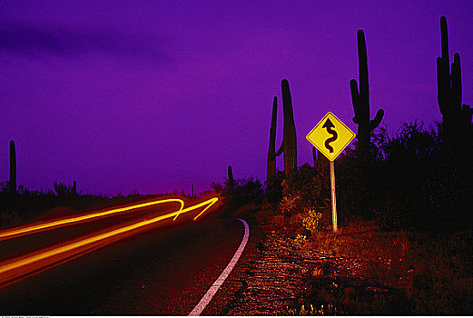 光影,公路,黄昏,萨瓜罗国家公园,亚利桑那,美国