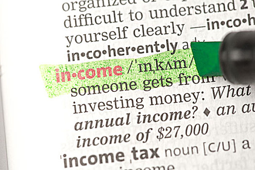 收入,定义,字典