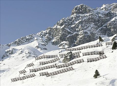 雪崩,预防,阿勒堡,奥地利