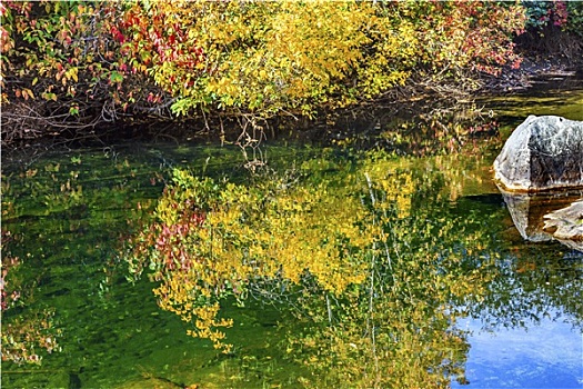 黄色,红叶,秋色,碧水,反射,抽象,河谷,靠近,华盛顿