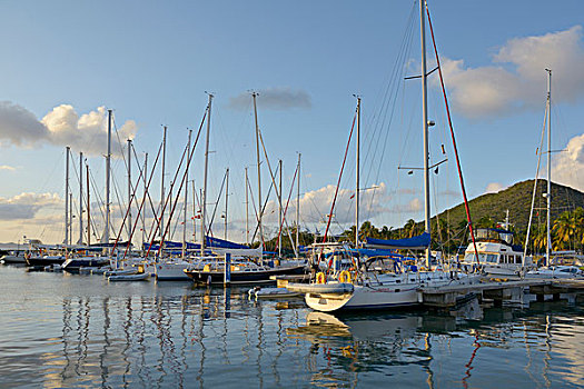 加勒比,英属维京群岛,维京果岛,帆船,游艇,港口,西班牙,城镇,大幅,尺寸