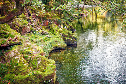 风景,河,秋天