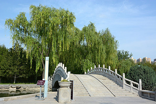 小雁塔,荐福寺,西安博物院