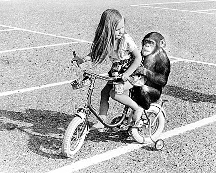 黑猩猩,女孩,骑自行车,英格兰,英国