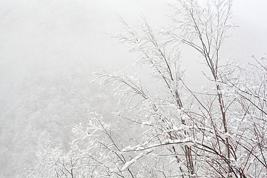 陕西秦岭黄花岭雪景