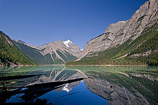 湖,形态,完美,反射,落基山脉,罗布森山,小路,靠近,区域,不列颠哥伦比亚省,加拿大