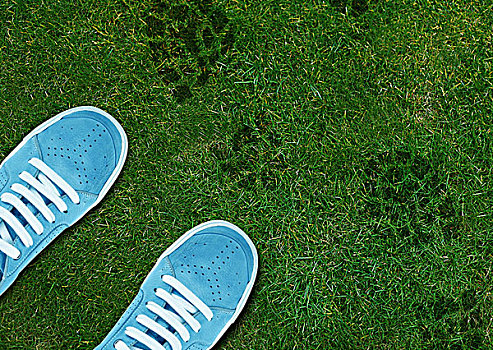 蓝色,鞋,印记,绿色,草地