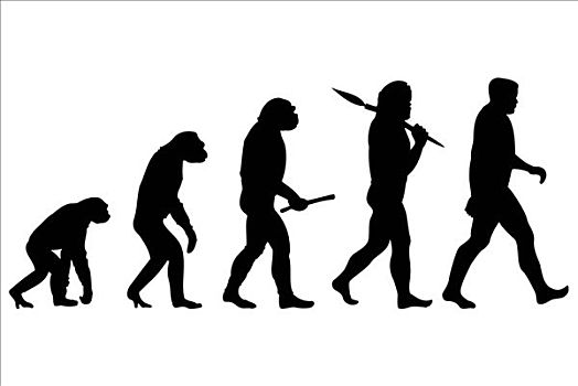 演化,男人,次序,象征,连续,发展,关系,人,猿