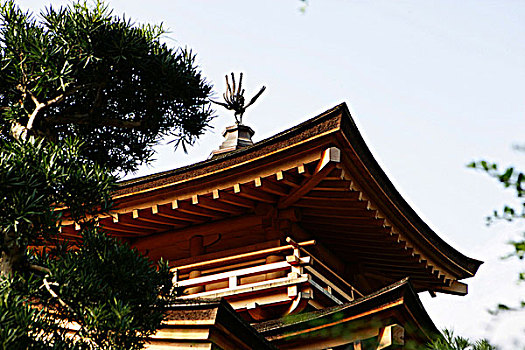 女修道院,中式花园,山,香港