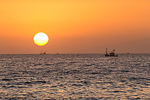 拖船,海上,夕阳,阿德赫海岸,特内里费岛,加纳利群岛,西班牙,欧洲