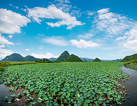 云南省文山州丘北县普者黑景区