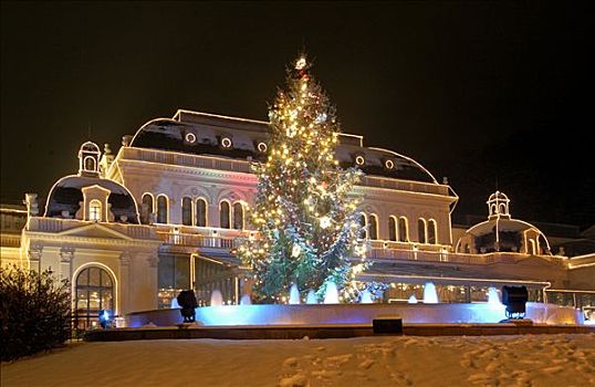 赌场,城镇,巴登,光亮,圣诞节,下奥地利州