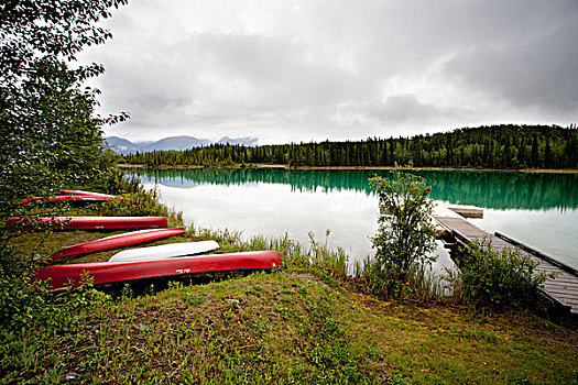 独木舟,岸边,湖,不列颠哥伦比亚省,加拿大