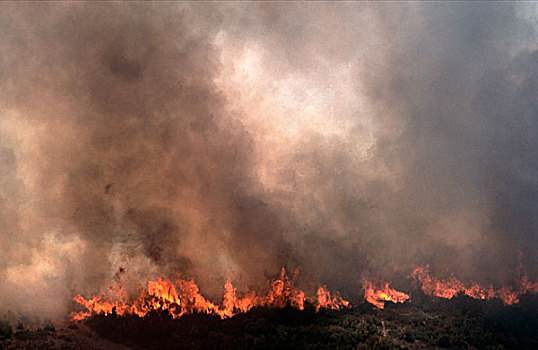 法国,普罗旺斯,俯视,森林火灾,靠近