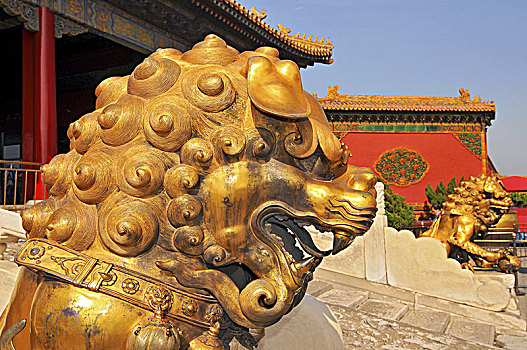 监护,狮子,正面,三个,宫殿,故宫,北京,中国