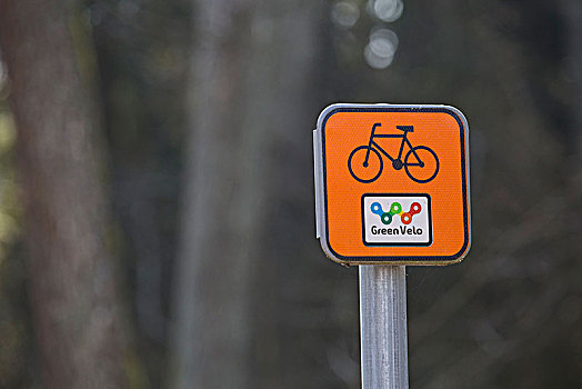 欧洲,波兰,波德拉谢省,道路,标识,绿色,自行车