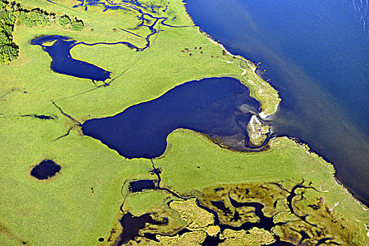 自然保护区,波罗的海,梅克伦堡州,德国,航拍