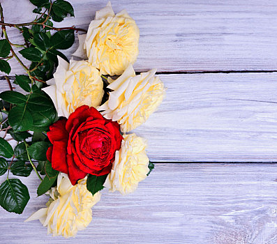 花束,盛开,黄色,红玫瑰