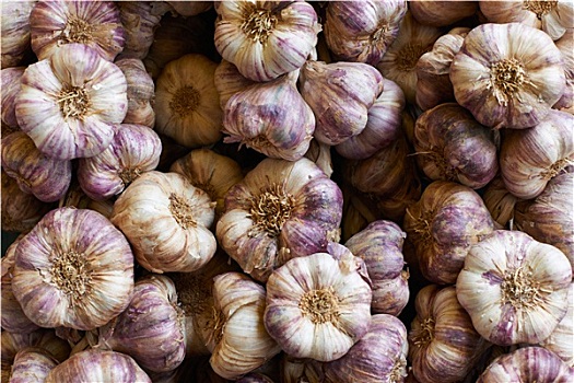 紫色,蒜,法国,市场