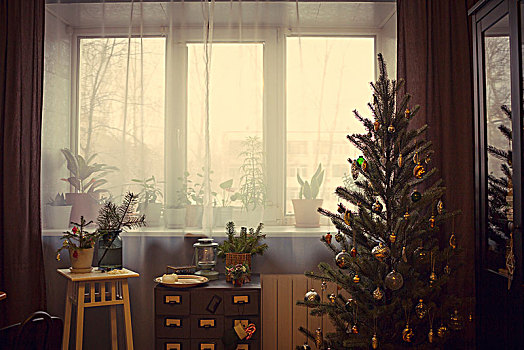 圣诞树,盆栽,窗户