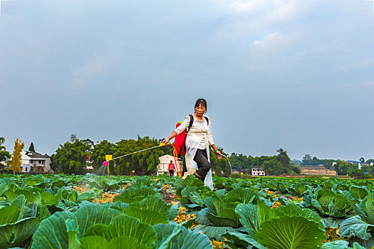 洒药