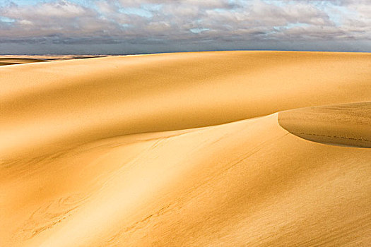 骷髅海岸,纳米比亚,沙丘,数码