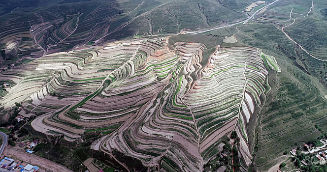 宁夏海原,五彩梯田如楼梯,绿满山巅绕山间