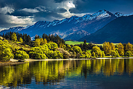 日光,树,湖,岸边,山,山脉,湾,奥塔哥地区,新西兰