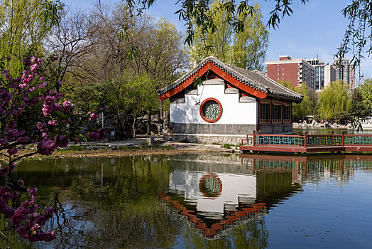 北京市,大观园景区