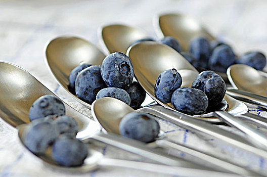 勺子,蓝莓