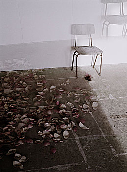 二次曝光,两个,椅子,白色,房间,粉色,花瓣,线条