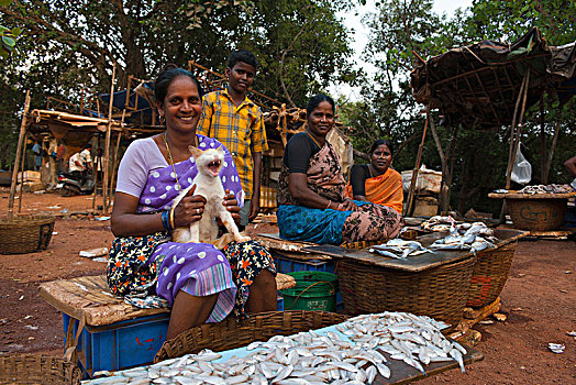 印第安女人,销售,海鲜,街道,货摊,印度
