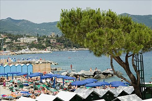 俯拍,沙滩伞,海滩,意大利,里维埃拉,热那亚,利古里亚
