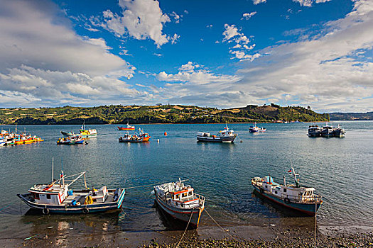 智利,奇洛埃岛,渔船