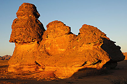怪诞,岩石构造,早晨,亮光,利比亚,非洲
